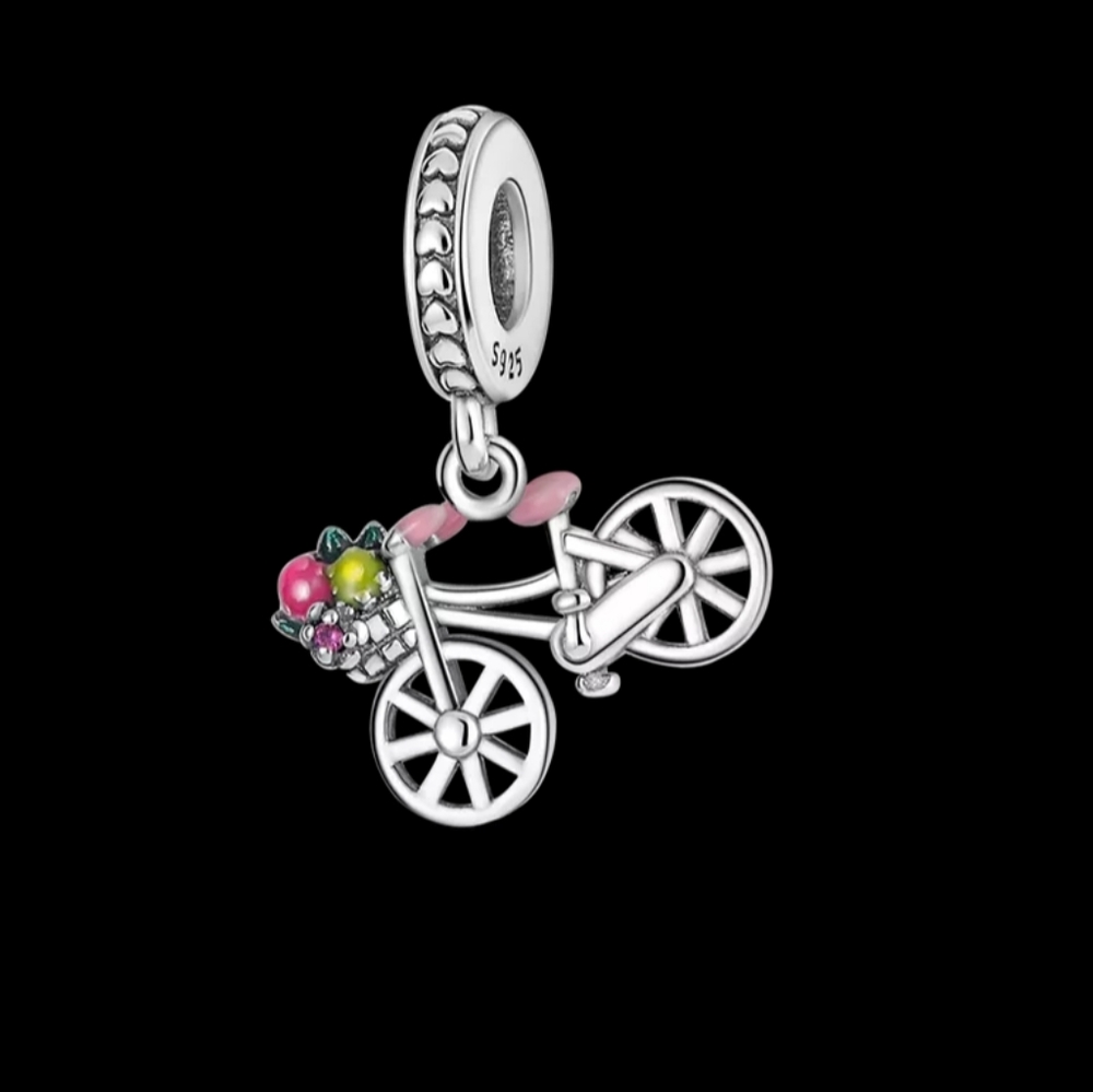 Charms for charms bracelets